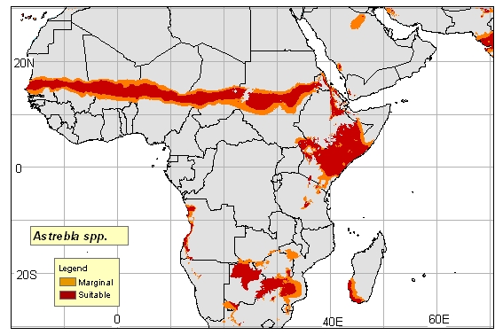 This map shows where Astrebla spp. can be grown in Africa