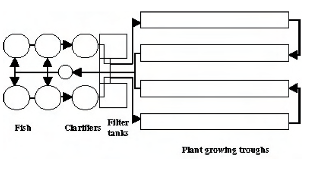 Aquaponic Filtration Systems